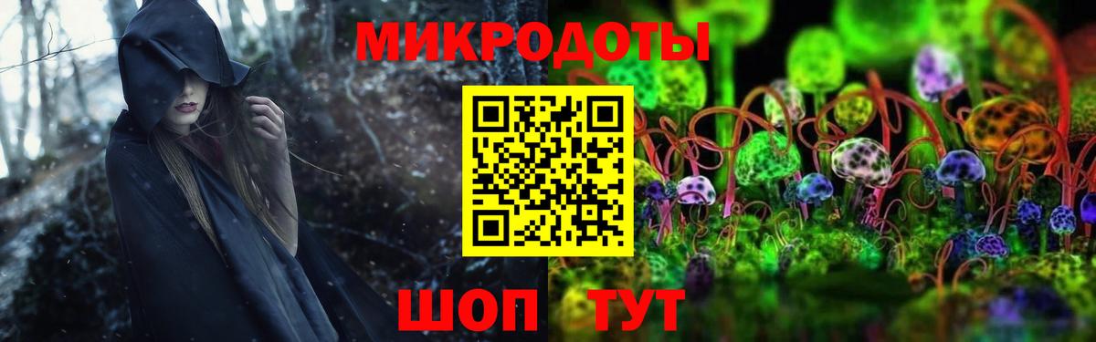 Нарткала  Галлюциногенные грибы Magic Shrooms  купить наркоту  Галлюциногенные грибы Magic Shrooms  Вход с VPN 